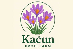 Kaćun